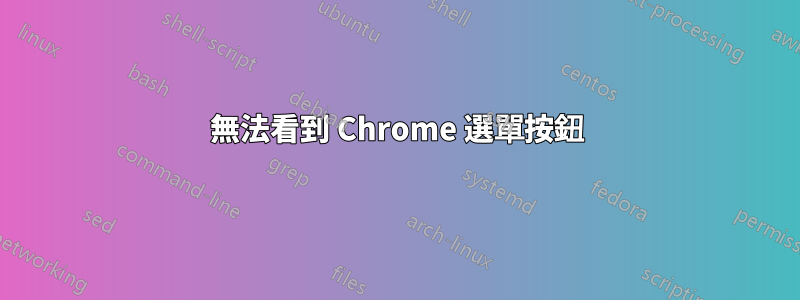 無法看到 Chrome 選單按鈕