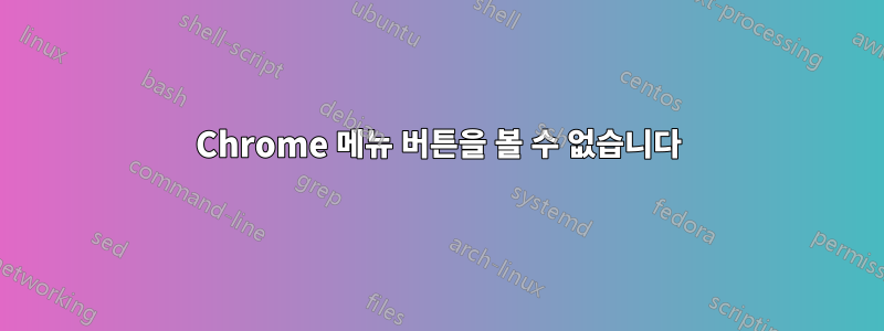 Chrome 메뉴 버튼을 볼 수 없습니다