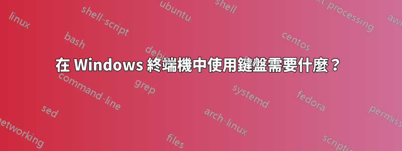 在 Windows 終端機中使用鍵盤需要什麼？