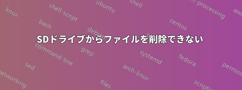 SDドライブからファイルを削除できない