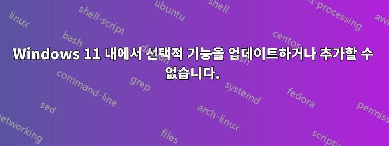 Windows 11 내에서 선택적 기능을 업데이트하거나 추가할 수 없습니다.