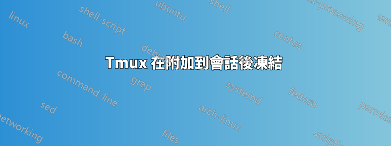 Tmux 在附加到會話後凍結