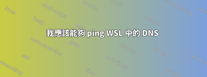 我應該能夠 ping WSL 中的 DNS