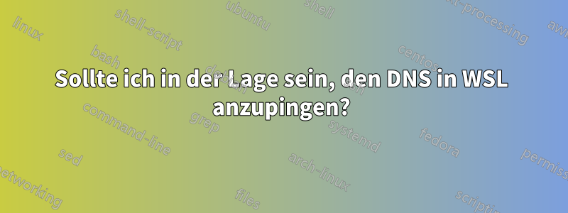 Sollte ich in der Lage sein, den DNS in WSL anzupingen?