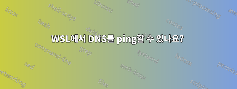 WSL에서 DNS를 ping할 수 있나요?