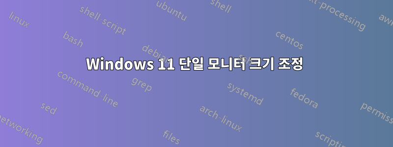 Windows 11 단일 모니터 크기 조정