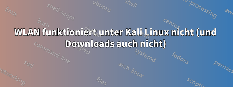 WLAN funktioniert unter Kali Linux nicht (und Downloads auch nicht)