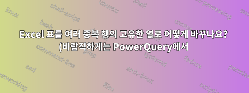 Excel 표를 여러 중복 행의 고유한 열로 어떻게 바꾸나요? (바람직하게는 PowerQuery에서)