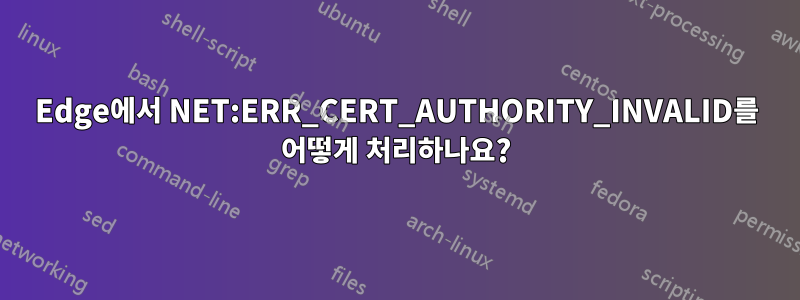 Edge에서 NET:ERR_CERT_AUTHORITY_INVALID를 어떻게 처리하나요?