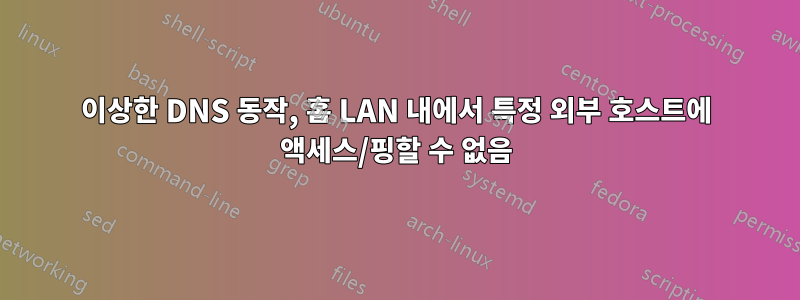 이상한 DNS 동작, 홈 LAN 내에서 특정 외부 호스트에 액세스/핑할 수 없음
