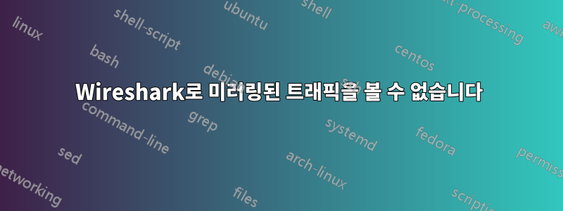 Wireshark로 미러링된 트래픽을 볼 수 없습니다