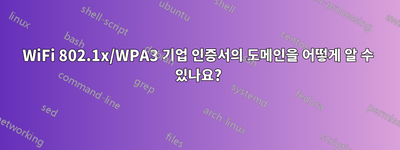 WiFi 802.1x/WPA3 기업 인증서의 도메인을 어떻게 알 수 있나요?