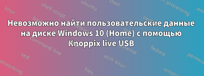 Невозможно найти пользовательские данные на диске Windows 10 (Home) с помощью Knoppix live USB