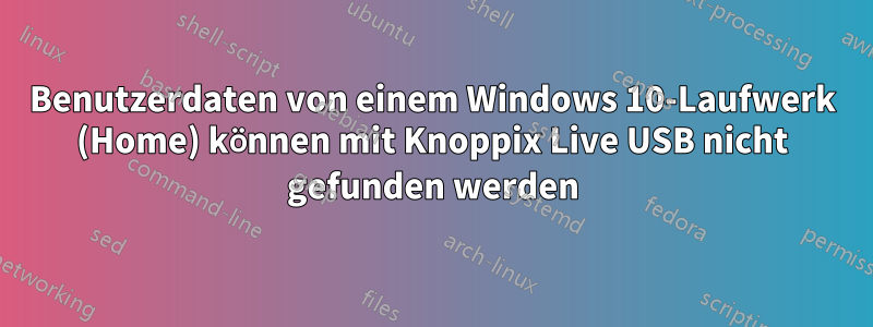 Benutzerdaten von einem Windows 10-Laufwerk (Home) können mit Knoppix Live USB nicht gefunden werden