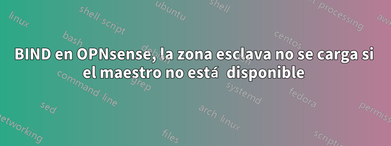 BIND en OPNsense, la zona esclava no se carga si el maestro no está disponible