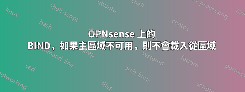 OPNsense 上的 BIND，如果主區域不可用，則不會載入從區域