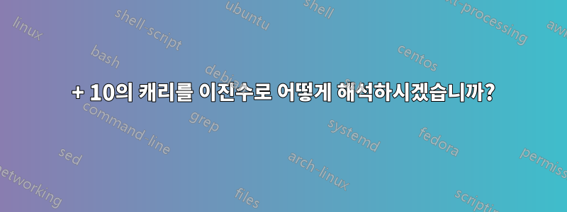 10 + 10의 캐리를 이진수로 어떻게 해석하시겠습니까?