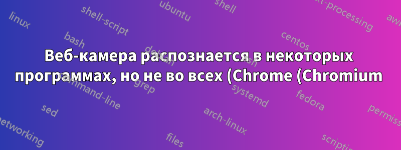 Веб-камера распознается в некоторых программах, но не во всех (Chrome (Chromium))
