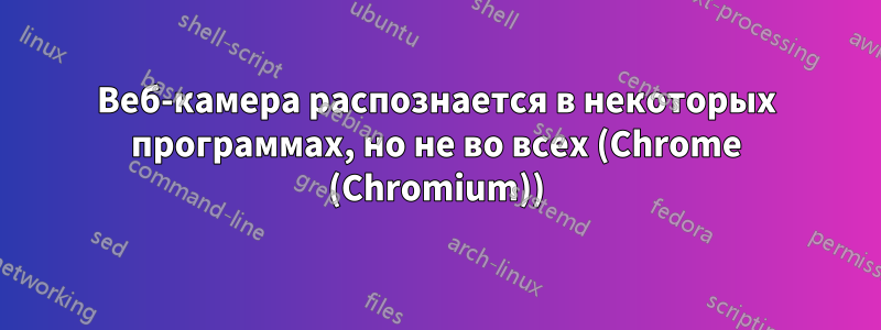 Веб-камера распознается в некоторых программах, но не во всех (Chrome (Chromium))