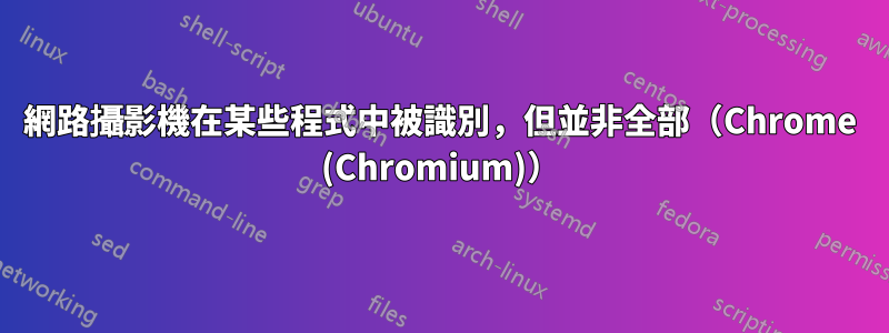 網路攝影機在某些程式中被識別，但並非全部（Chrome (Chromium)）