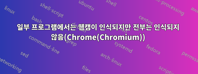 일부 프로그램에서는 웹캠이 인식되지만 전부는 인식되지 않음(Chrome(Chromium))