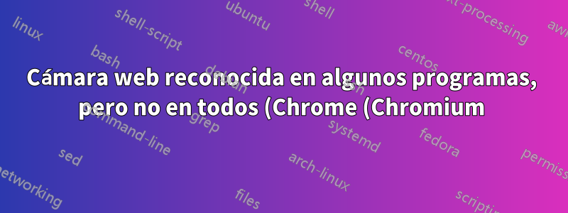 Cámara web reconocida en algunos programas, pero no en todos (Chrome (Chromium))