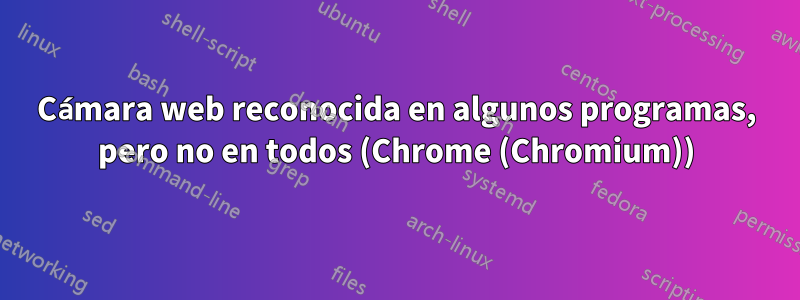 Cámara web reconocida en algunos programas, pero no en todos (Chrome (Chromium))