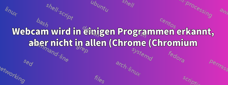Webcam wird in einigen Programmen erkannt, aber nicht in allen (Chrome (Chromium))