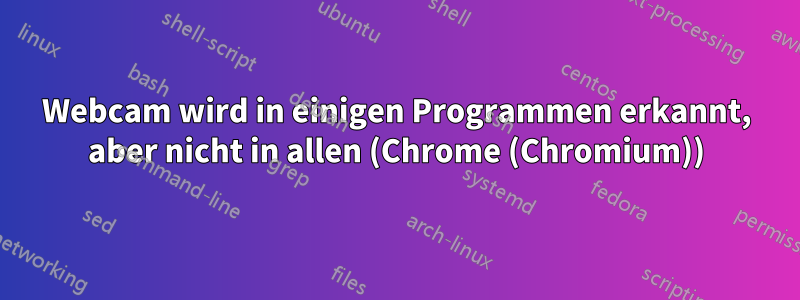 Webcam wird in einigen Programmen erkannt, aber nicht in allen (Chrome (Chromium))