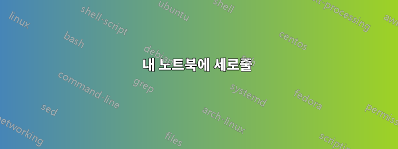 내 노트북에 세로줄