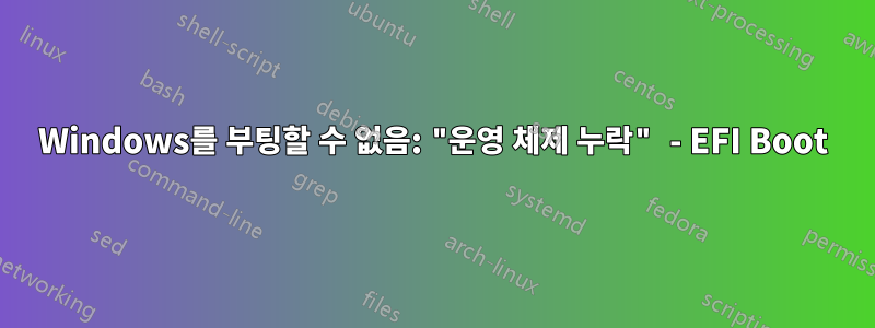 Windows를 부팅할 수 없음: "운영 체제 누락" - EFI Boot