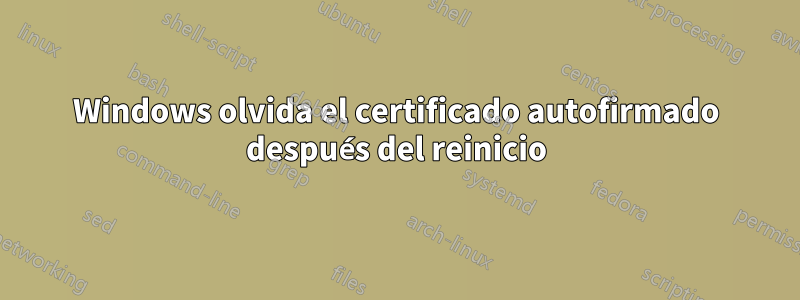 Windows olvida el certificado autofirmado después del reinicio