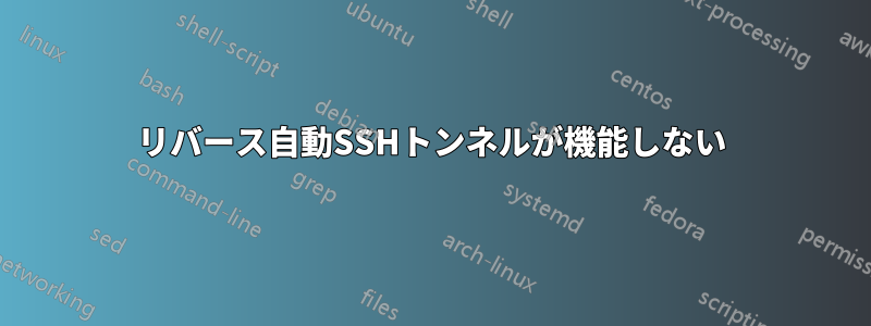 リバース自動SSHトンネルが機能しない