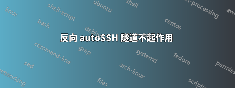 反向 autoSSH 隧道不起作用