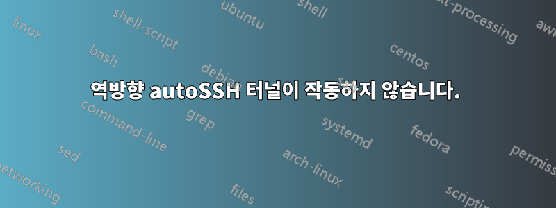 역방향 autoSSH 터널이 작동하지 않습니다.