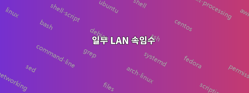 일부 LAN 속임수