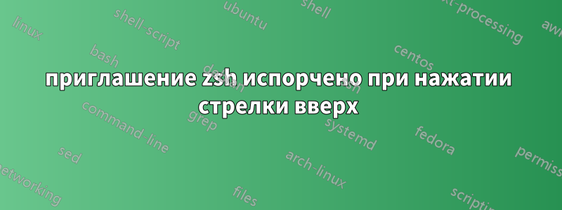 приглашение zsh испорчено при нажатии стрелки вверх