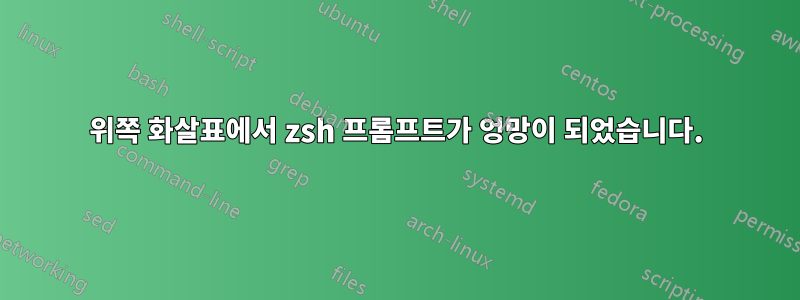 위쪽 화살표에서 zsh 프롬프트가 엉망이 되었습니다.