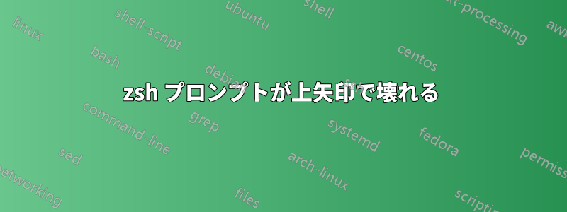 zsh プロンプトが上矢印で壊れる