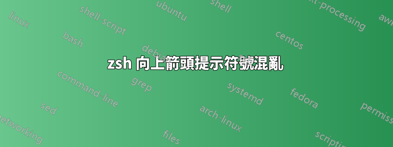 zsh 向上箭頭提示符號混亂