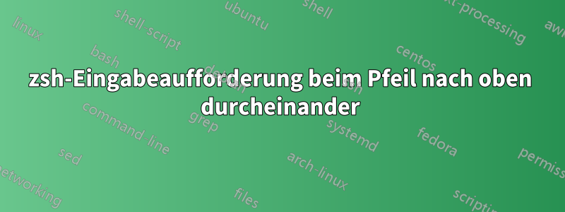 zsh-Eingabeaufforderung beim Pfeil nach oben durcheinander