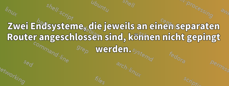 Zwei Endsysteme, die jeweils an einen separaten Router angeschlossen sind, können nicht gepingt werden.