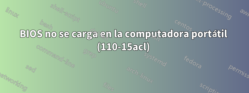 BIOS no se carga en la computadora portátil (110-15acl)