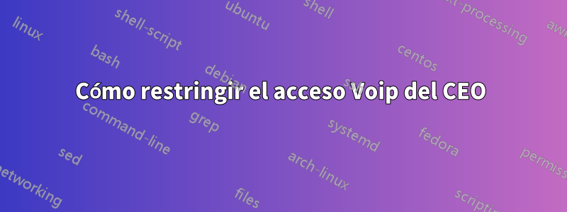 Cómo restringir el acceso Voip del CEO