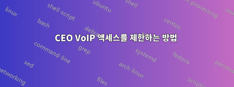 CEO VoIP 액세스를 제한하는 방법