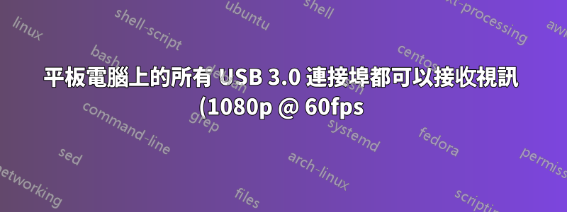 平板電腦上的所有 USB 3.0 連接埠都可以接收視訊 (1080p @ 60fps) 嗎?