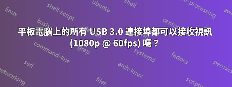 平板電腦上的所有 USB 3.0 連接埠都可以接收視訊 (1080p @ 60fps) 嗎？