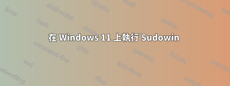 在 Windows 11 上執行 Sudowin