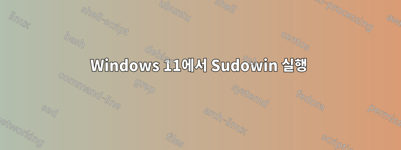 Windows 11에서 Sudowin 실행
