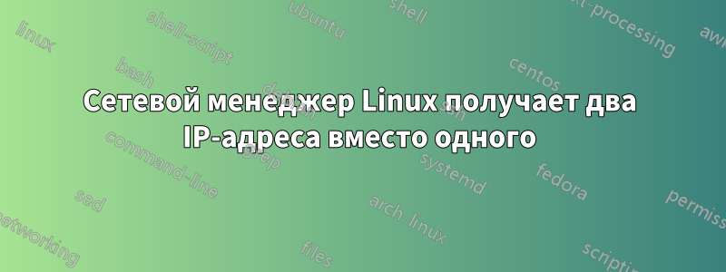 Сетевой менеджер Linux получает два IP-адреса вместо одного